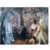 Dark Crystal, The  (1982) Stephen Garlick Autograph